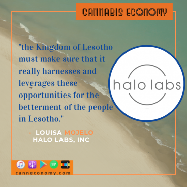 CannEconomy cannabis medical marijuana